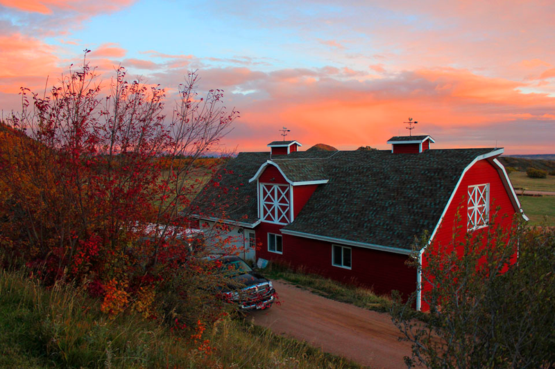 Illustration for article titled 100 Gorgeous Photos Of Fall Leaves